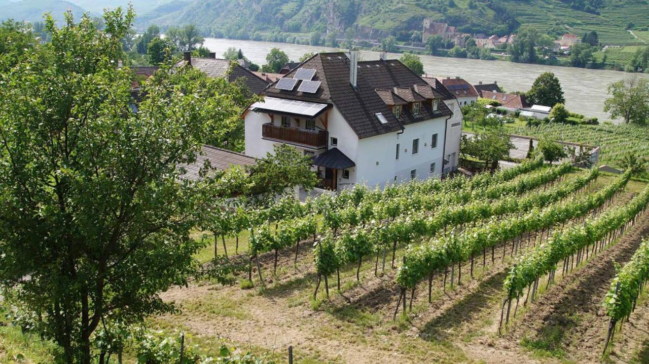Weingut & Gaestezimmer Pammer Mitterarnsdorf Extérieur photo
