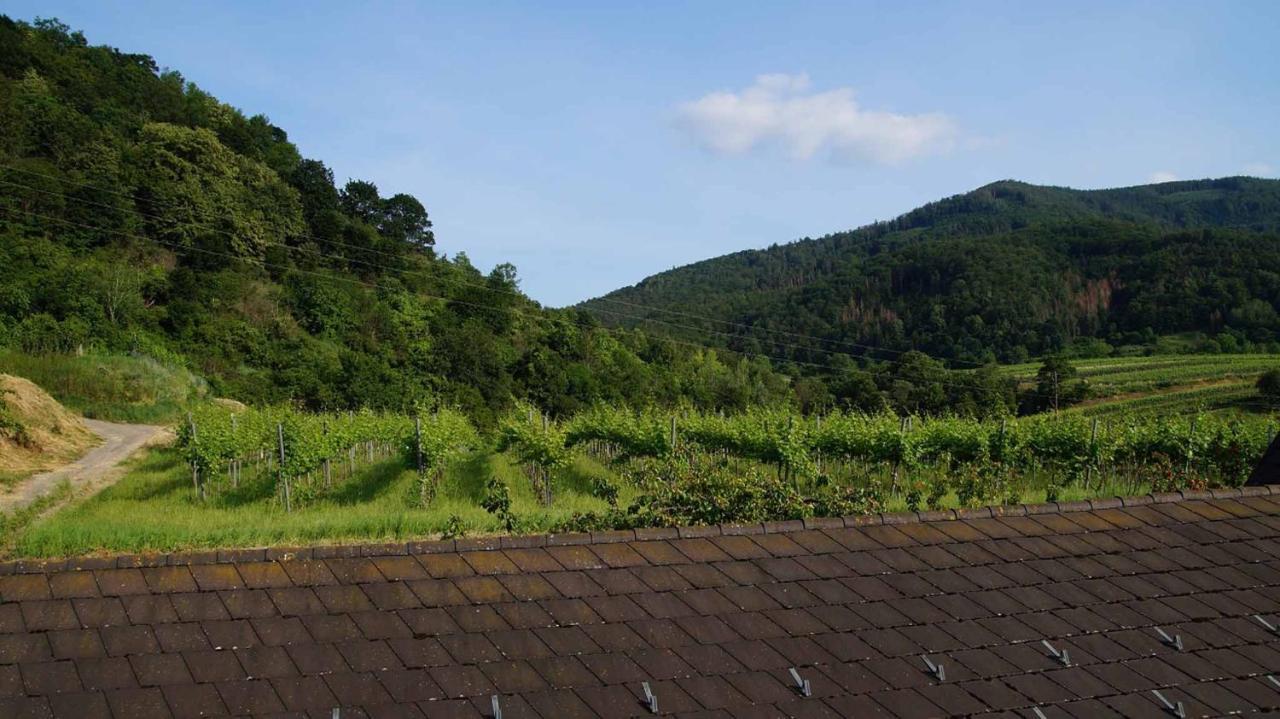 Weingut & Gaestezimmer Pammer Mitterarnsdorf Extérieur photo